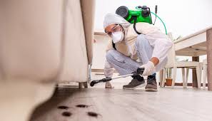 Best Bed Bug Extermination  in Louisvle, IL